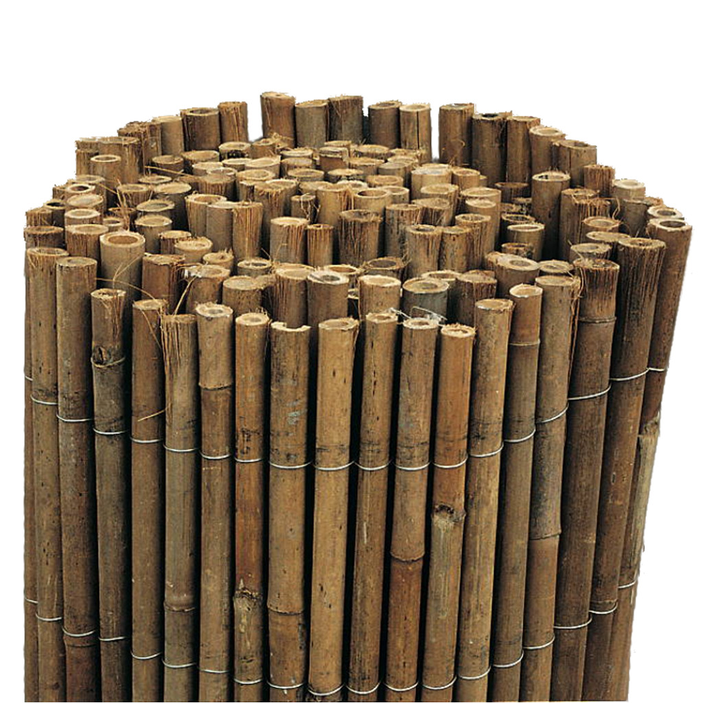 Cannetti In Bambù Per Piante - 25 Pezzi Ø 28-30 Mm X 240 Cm, Per Tutoraggio E Costruzioni - Foto 5